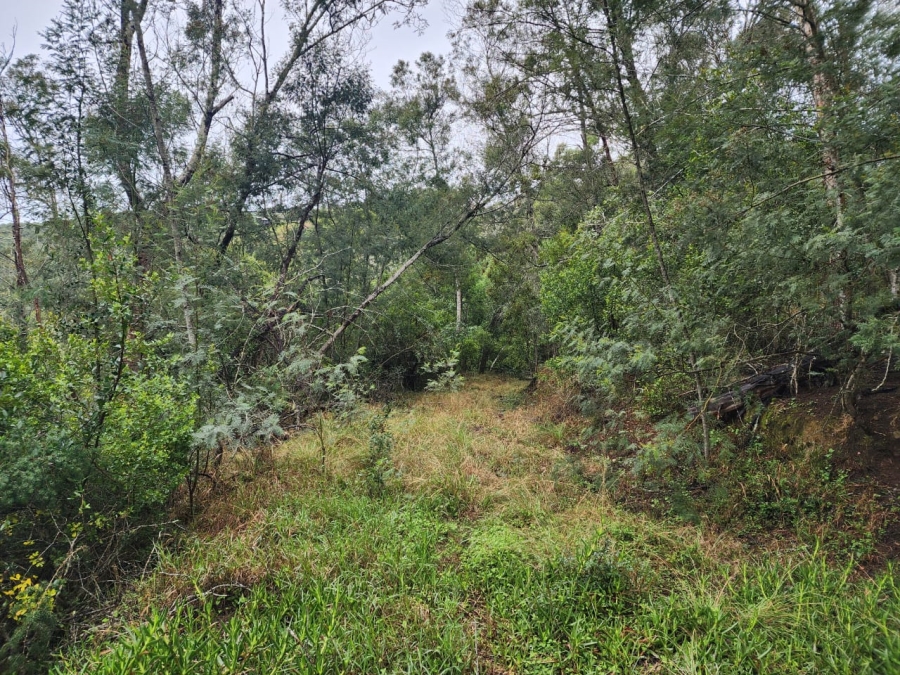 Commercial Property for Sale in Hoekwil Western Cape